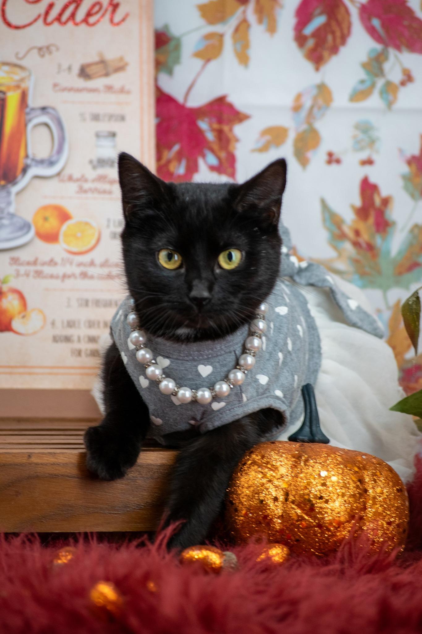 Miss Drumstick Dancer