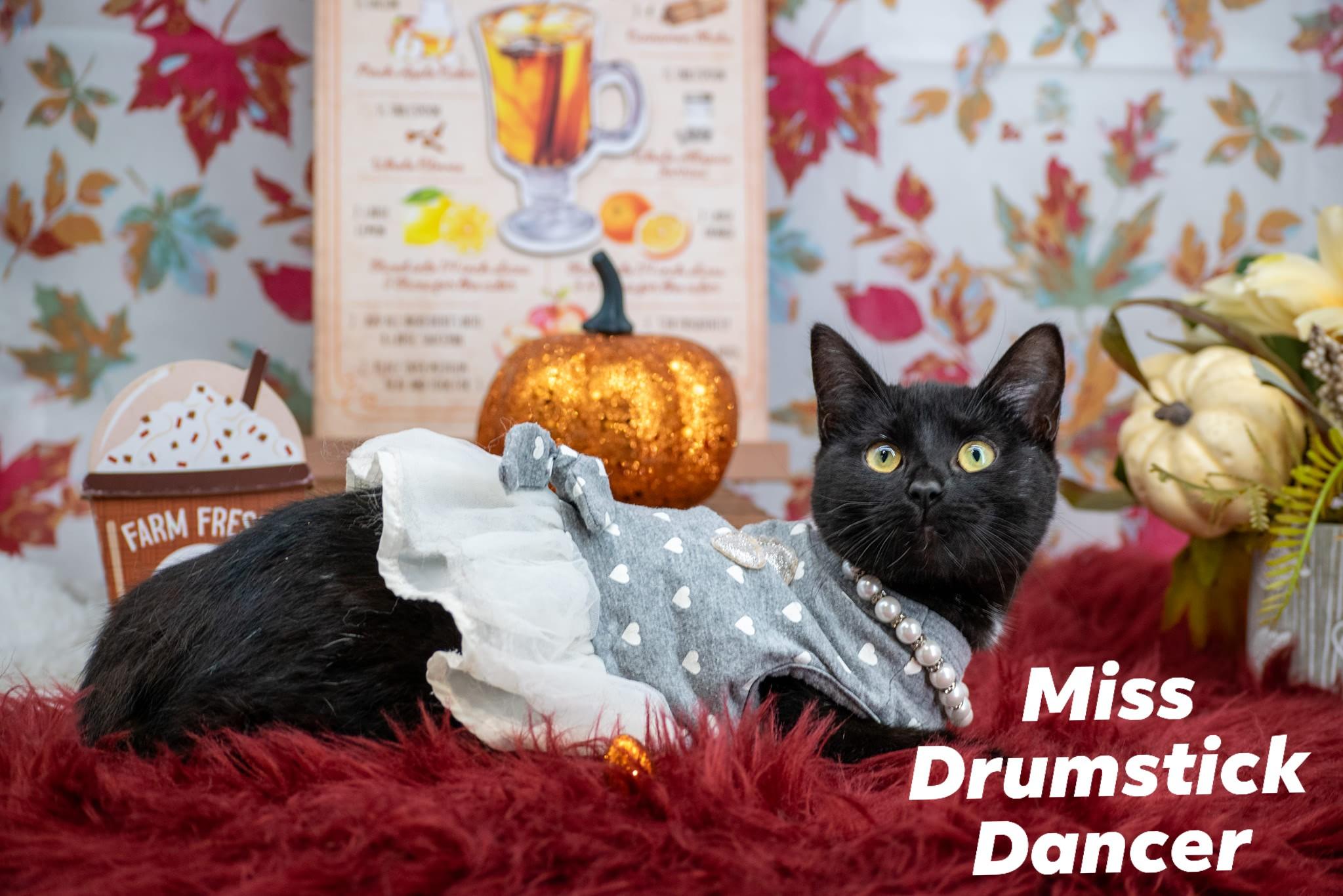 Miss Drumstick Dancer