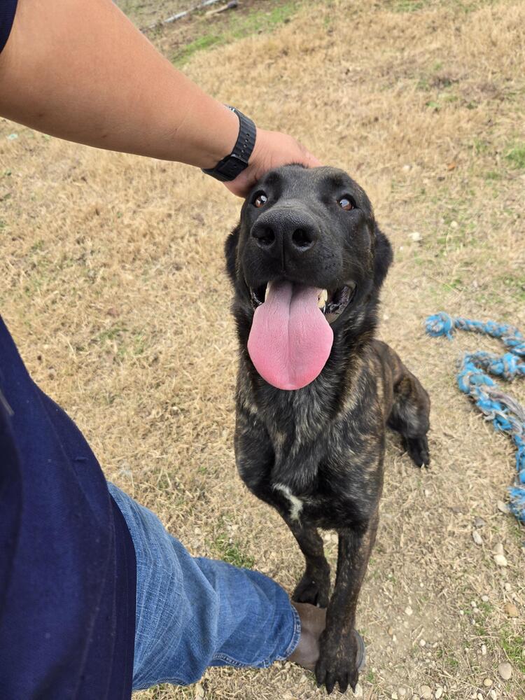 Gumbo - Located in Oklahoma