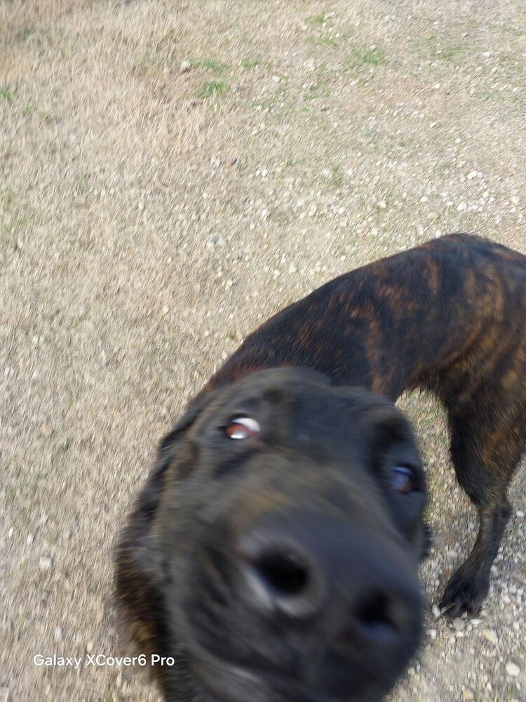 Gumbo - Located in Oklahoma — thumbnail 2