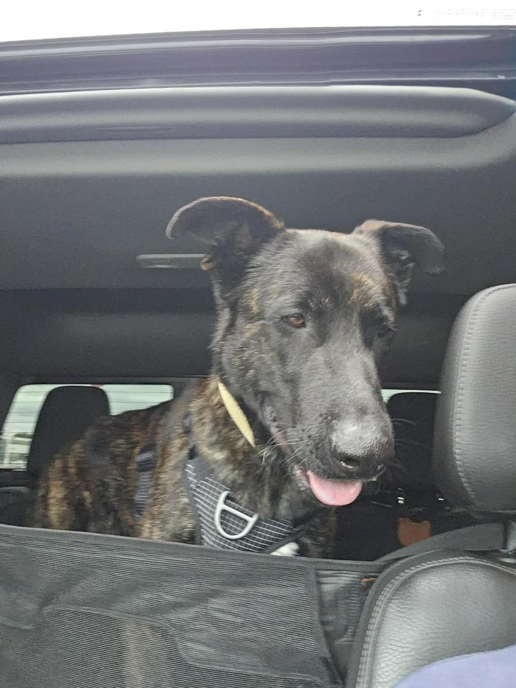 Gumbo - Located in Oklahoma — thumbnail 3