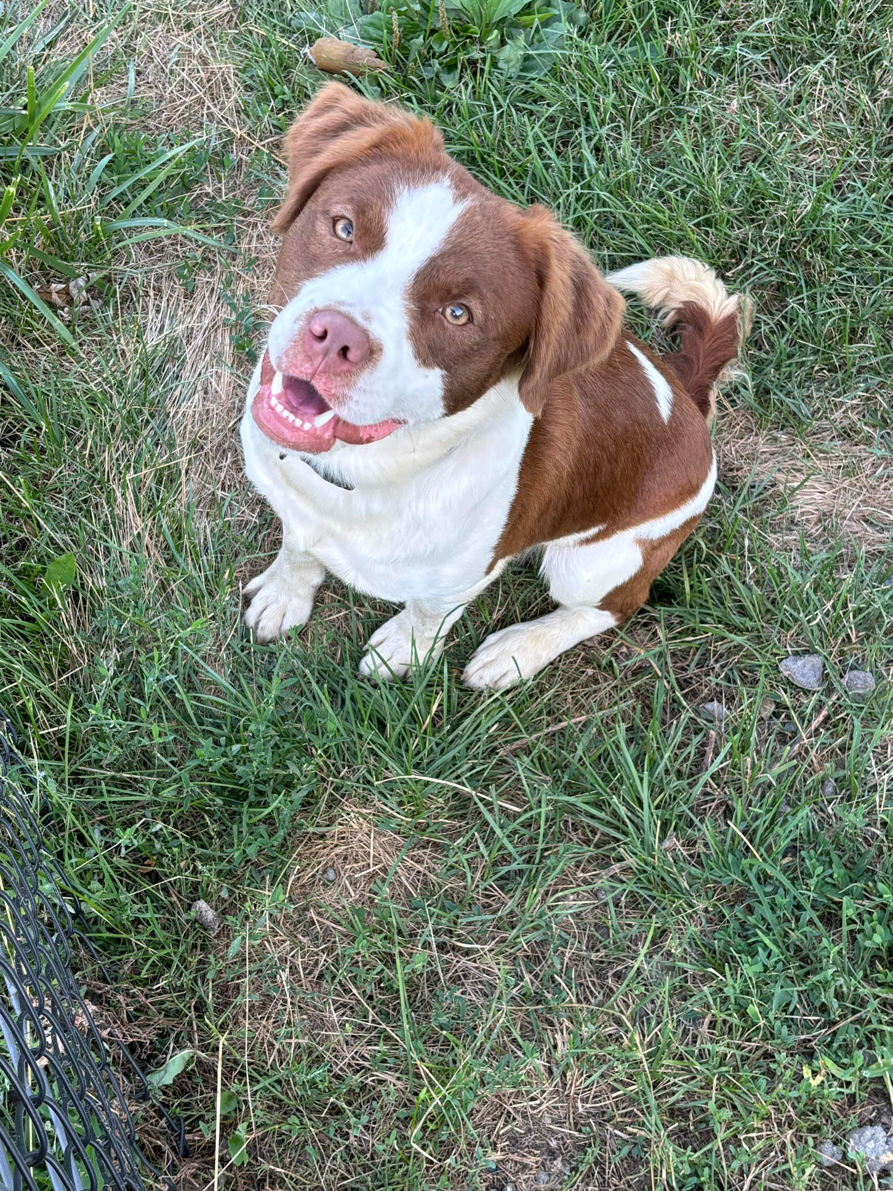 Wally