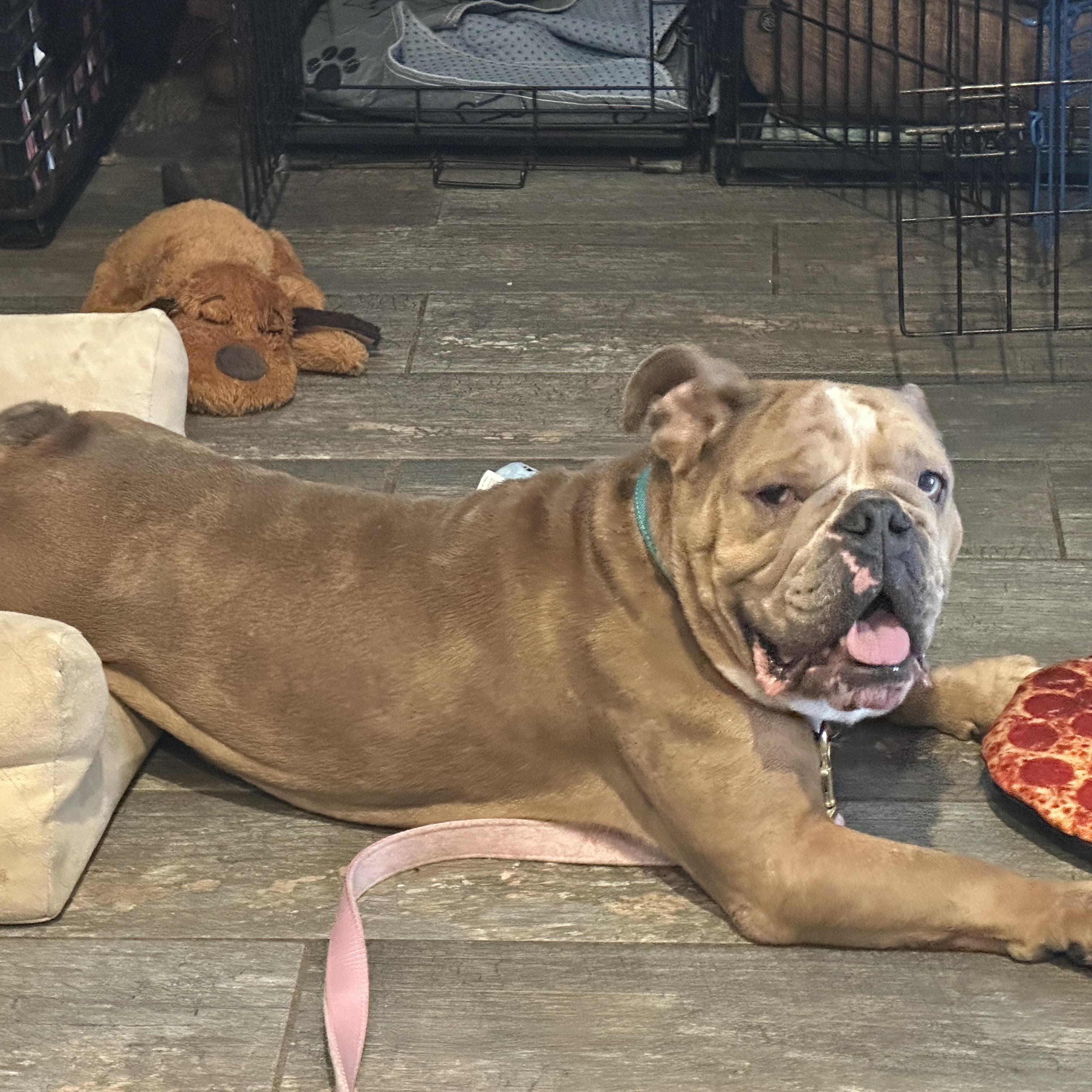 June Aka June Bug thumbnail 2