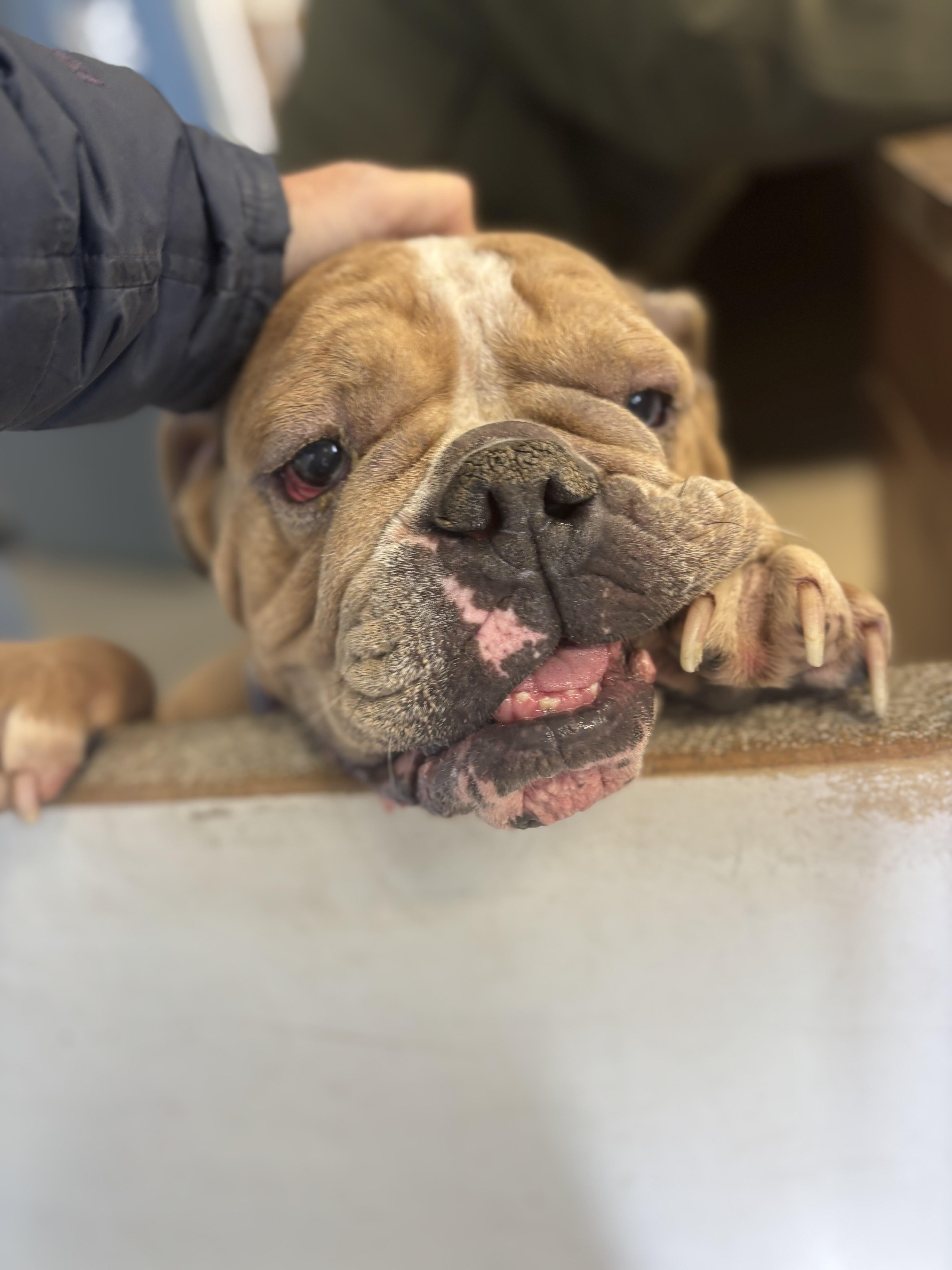 June Aka June Bug thumbnail 5