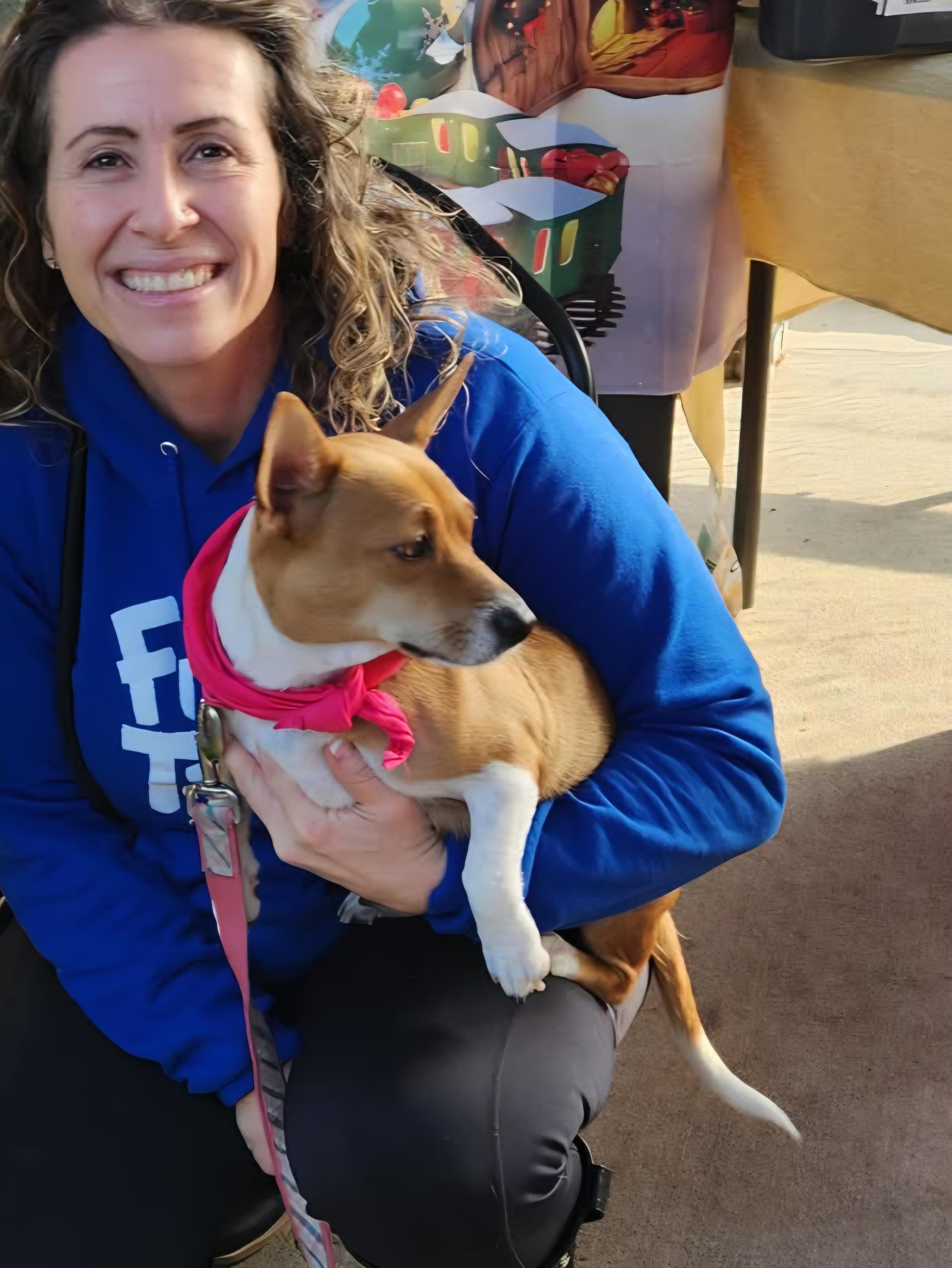 Alice, an adopted mixed breed in Blue Bell, PA image 6/6