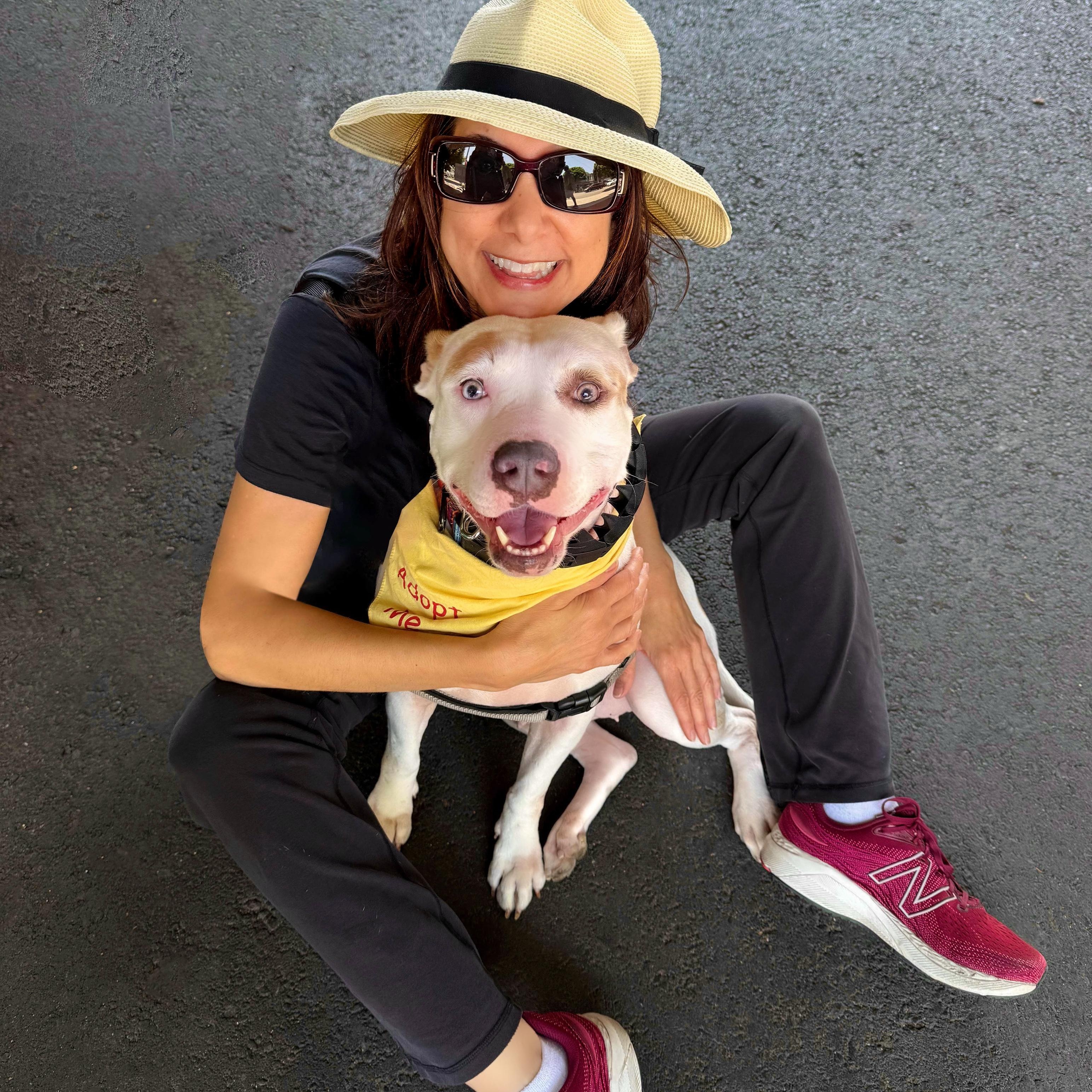 Lelani (contact Rachel), a Adoptable mixed breed in Sherman Oaks, CA image 3/5