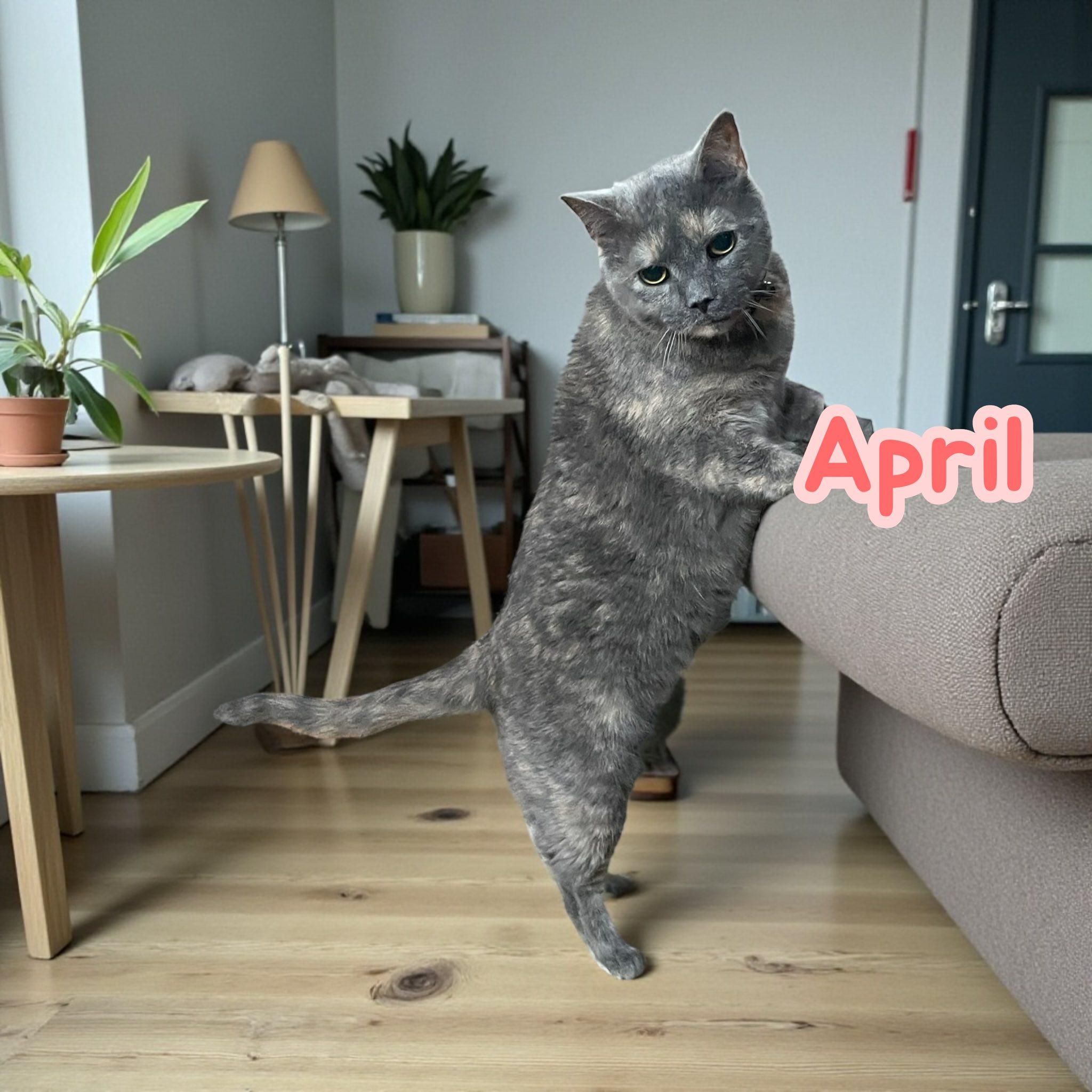 April