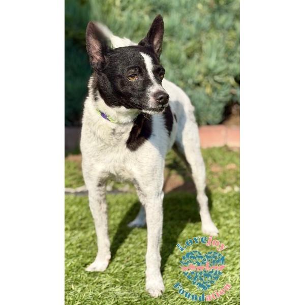 Jack Black thumbnail 3