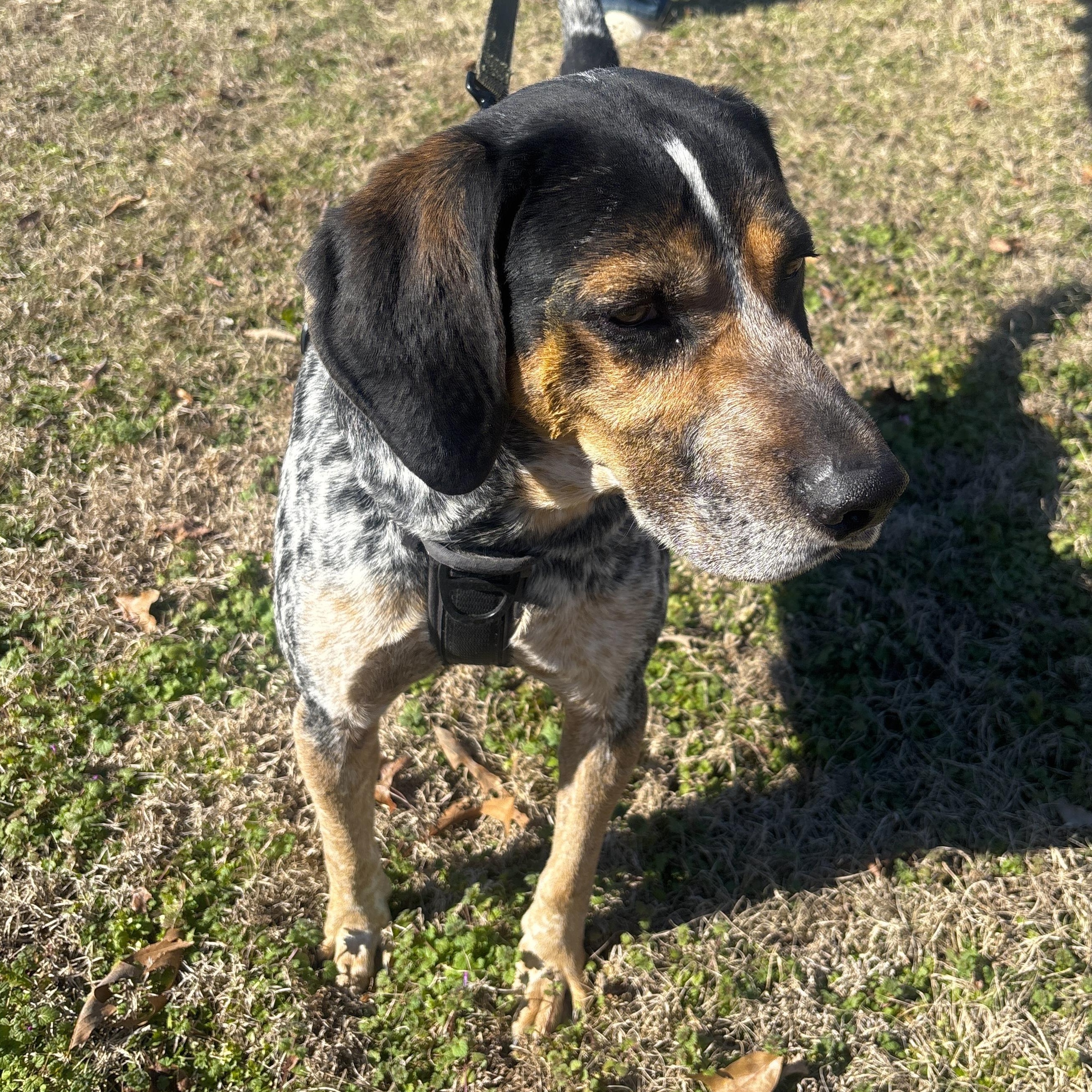 Cash — thumbnail 3