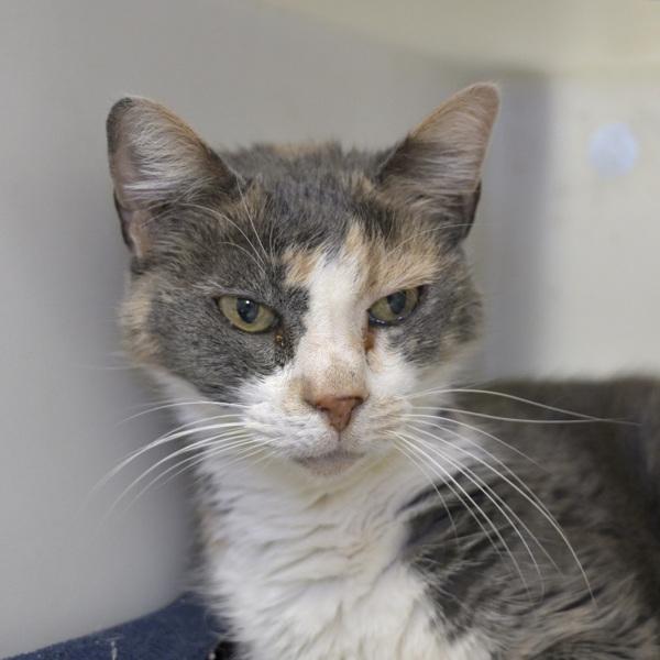 Marisela — thumbnail 2