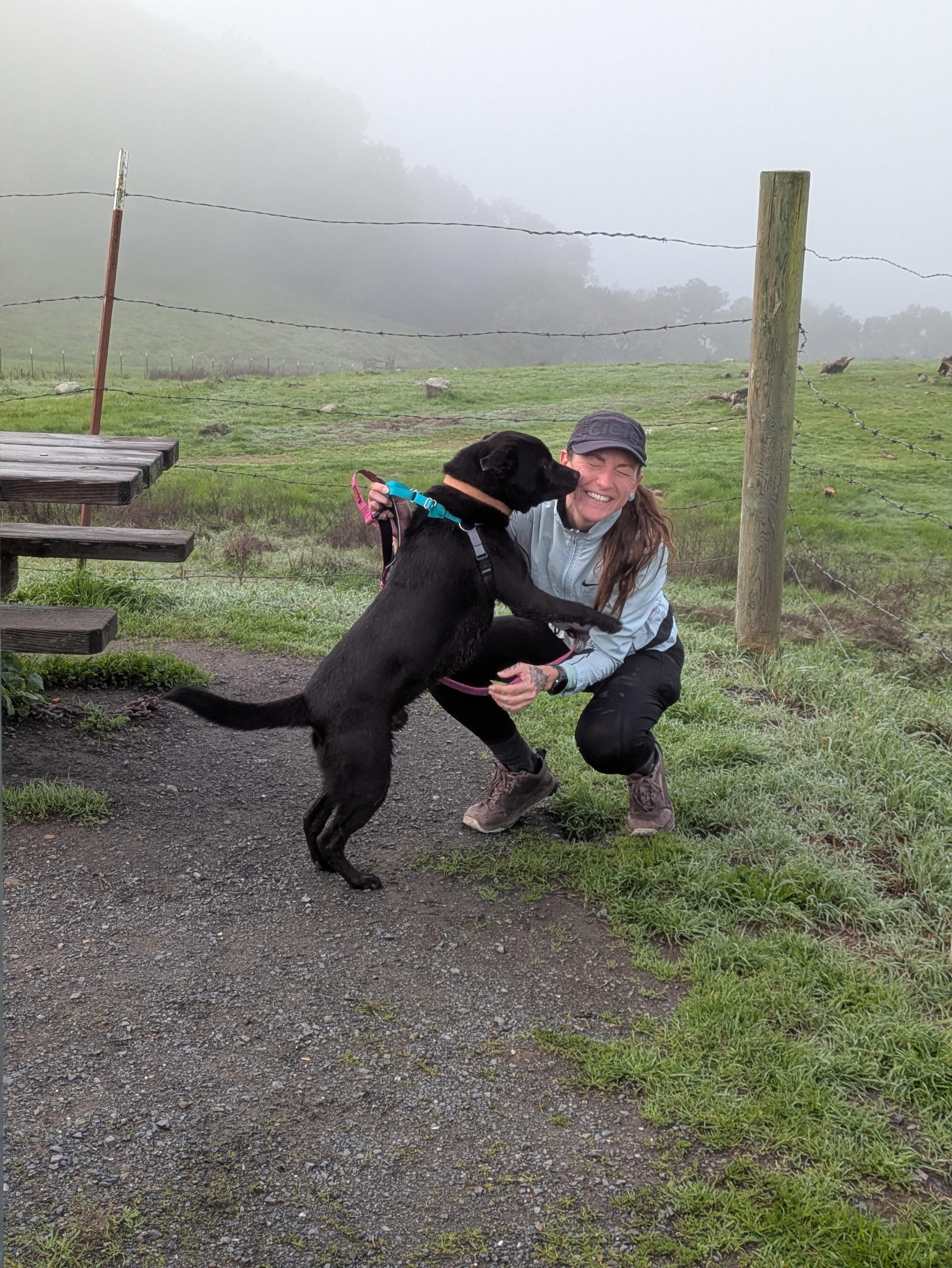 Enlarge Ed, a Adoptable mixed breed in Santa Rosa, CA image 4/5