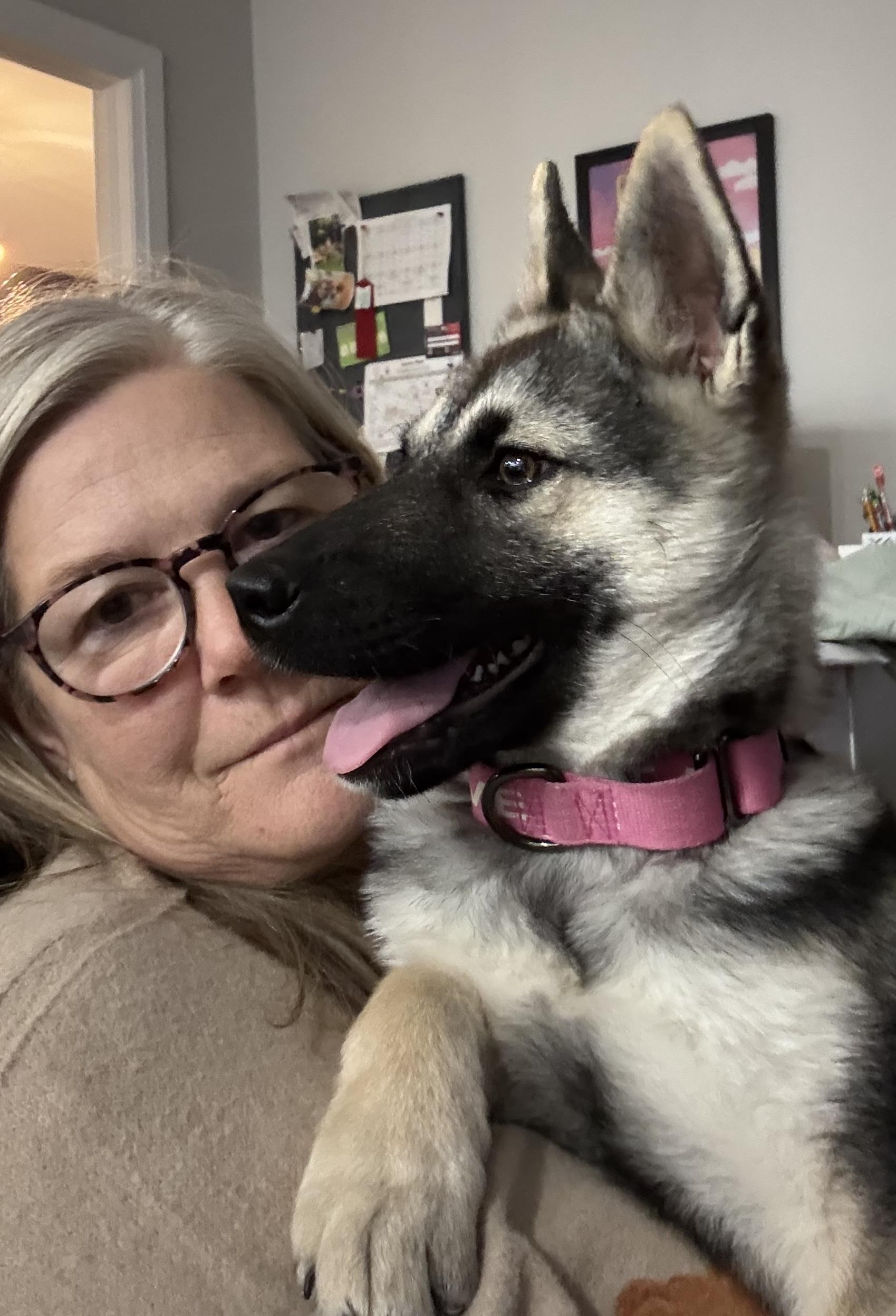 Enlarge Indie, a Adopted mixed breed in Port Colborne , ON image 5/6