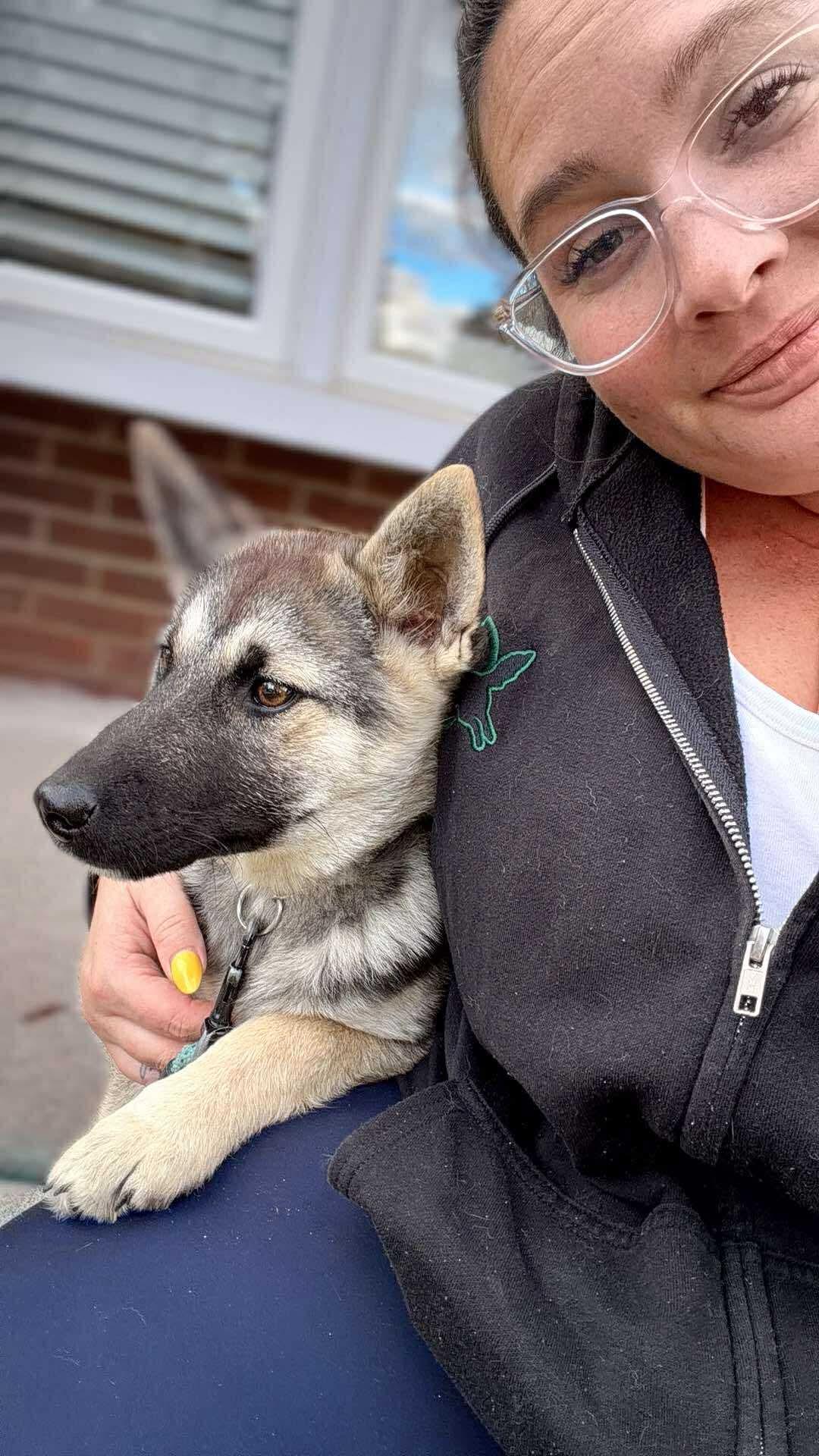 Enlarge Indie, a Adopted mixed breed in Port Colborne , ON image 6/6