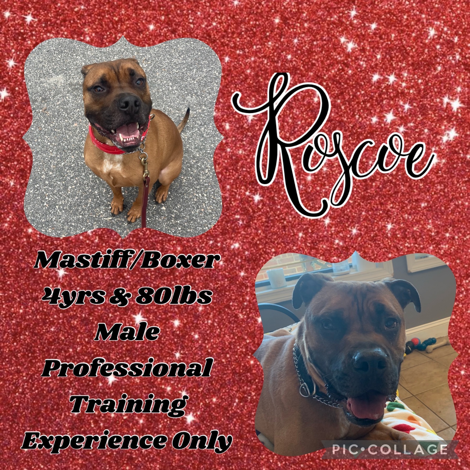 Roscoe