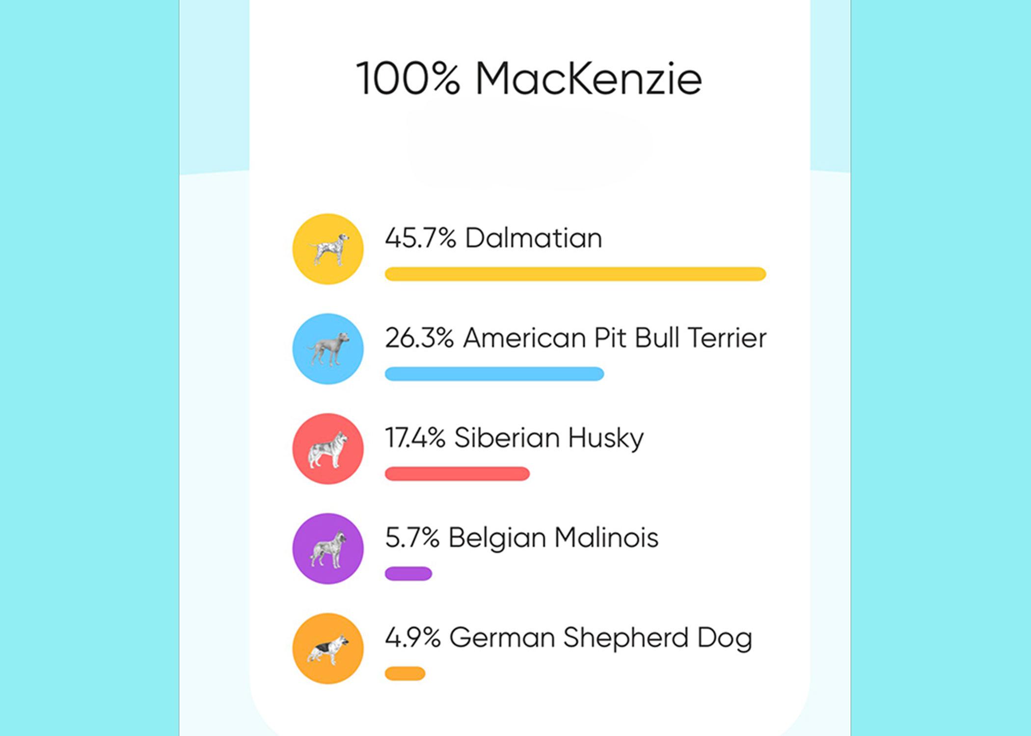 Enlarge Mackenzie, a Adoptable mixed breed in Grants Pass, OR image 5/5
