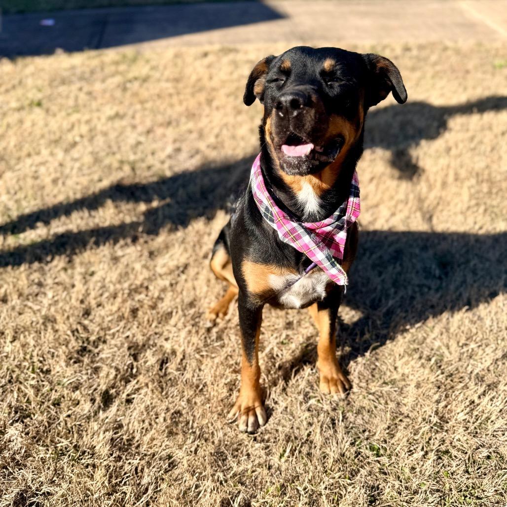 Maria — thumbnail 2