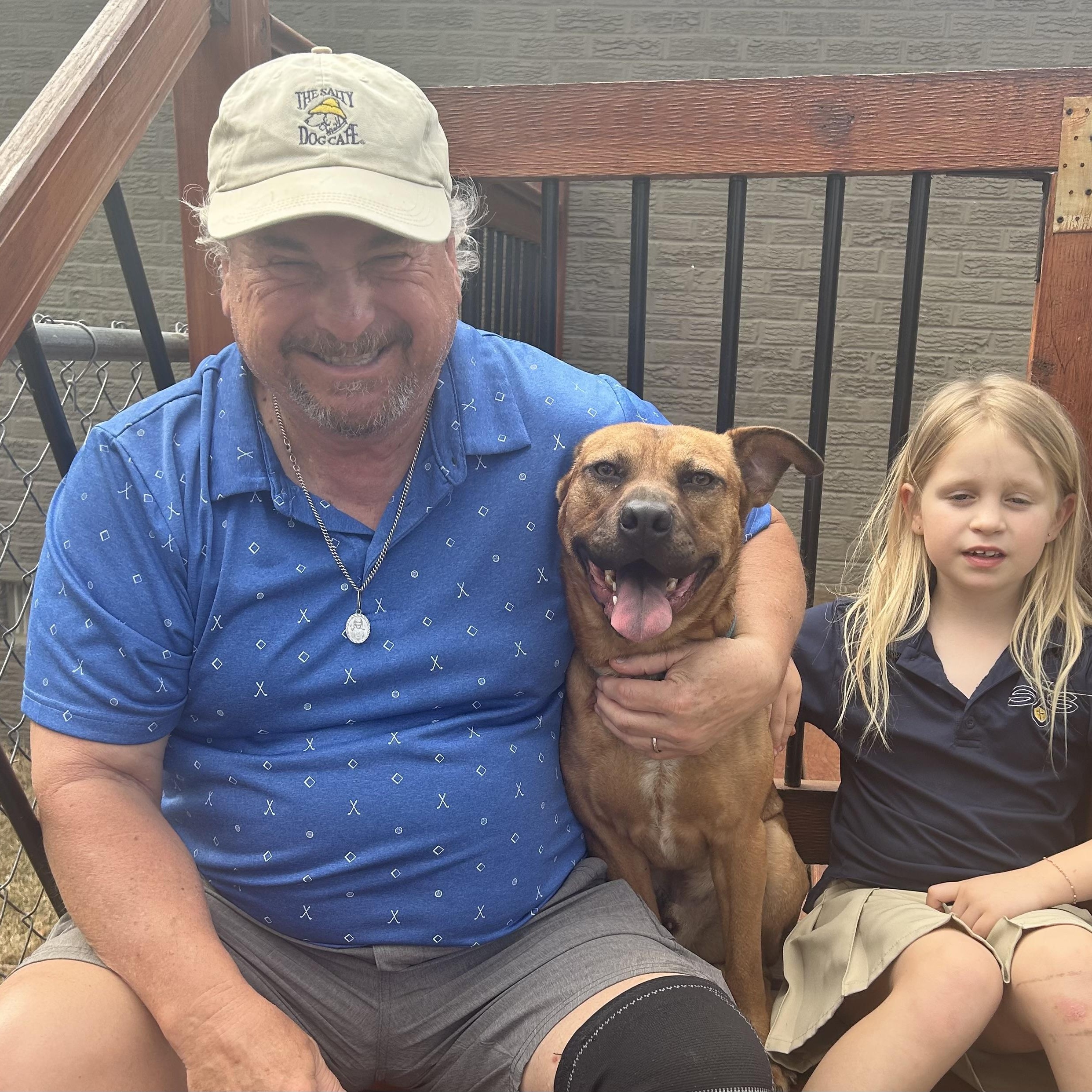 Forrest -Watch my video! , a ADOPTABLE mixed breed in Jackson, TN image 3/6