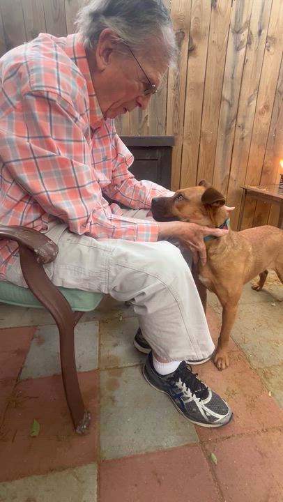 Enlarge Forrest -Watch my video! , a ADOPTABLE mixed breed in Jackson, TN video 6/6