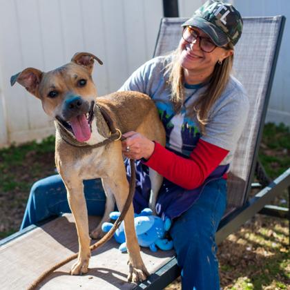 Enlarge Morrison, a Adoptable Mixed Breed in Chamblee, GA image 3/3