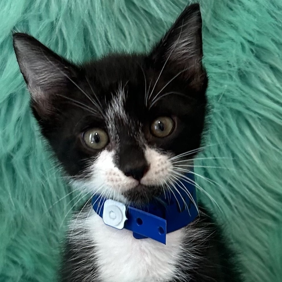 Tux