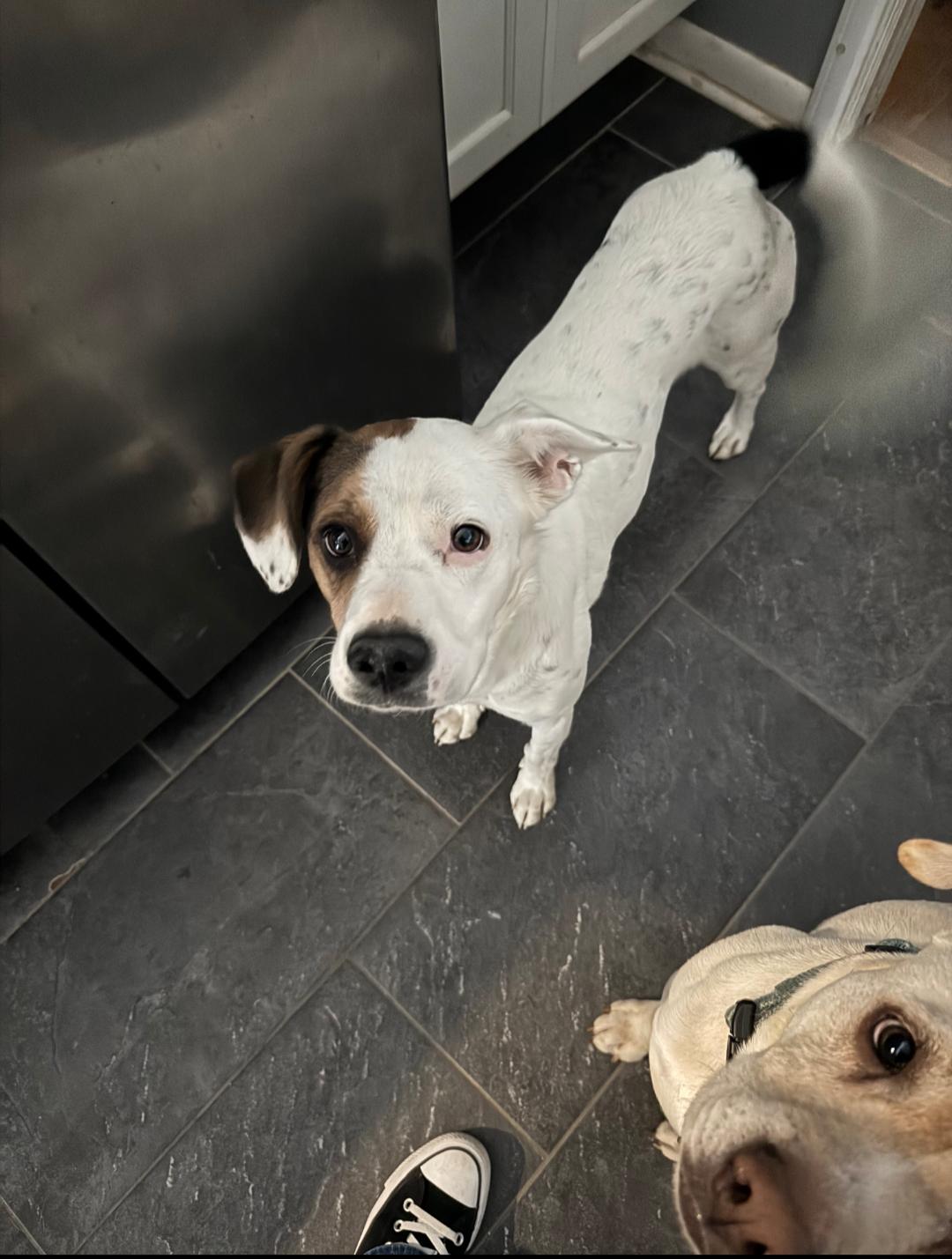 Zoe AKA Dottie — thumbnail 2