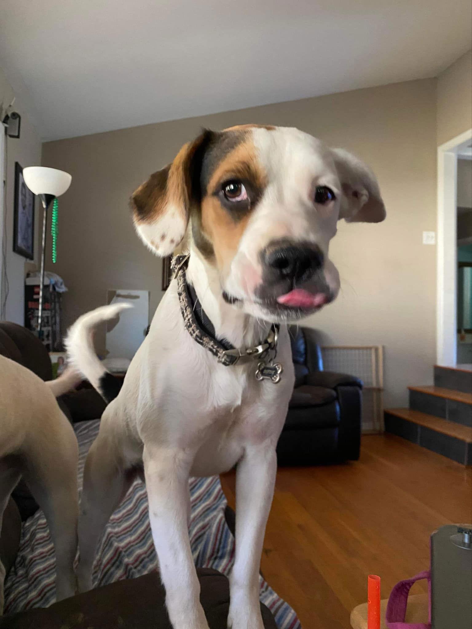 Zoe AKA Dottie — thumbnail 5