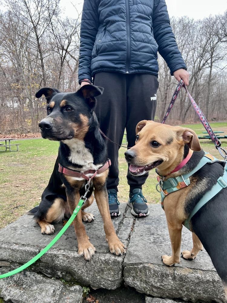 Cleo — thumbnail 3