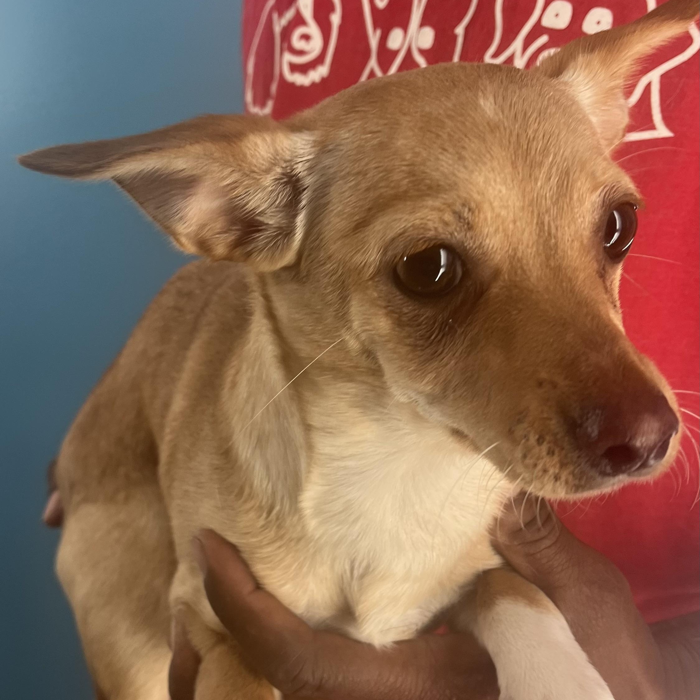 Louise  Local Oct thumbnail 2