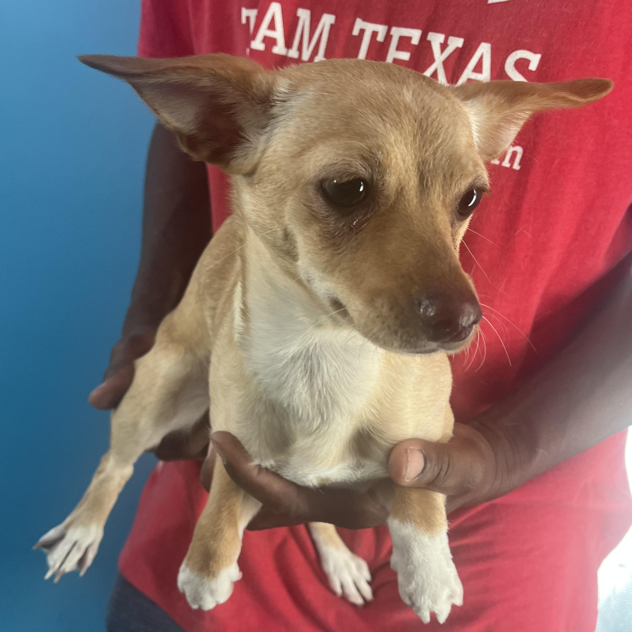 Louise  Local Oct thumbnail 6