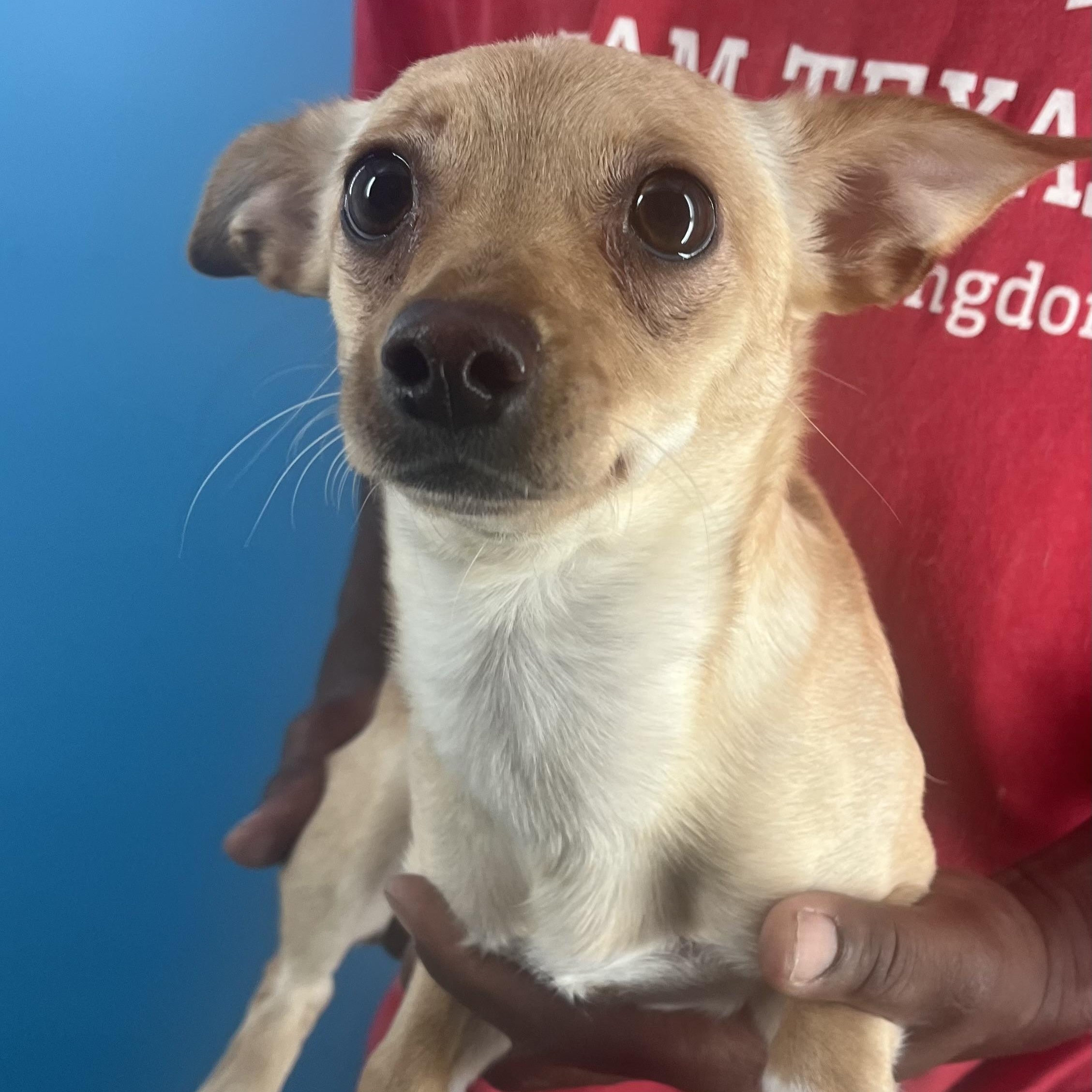 Louise  Local Oct thumbnail 3