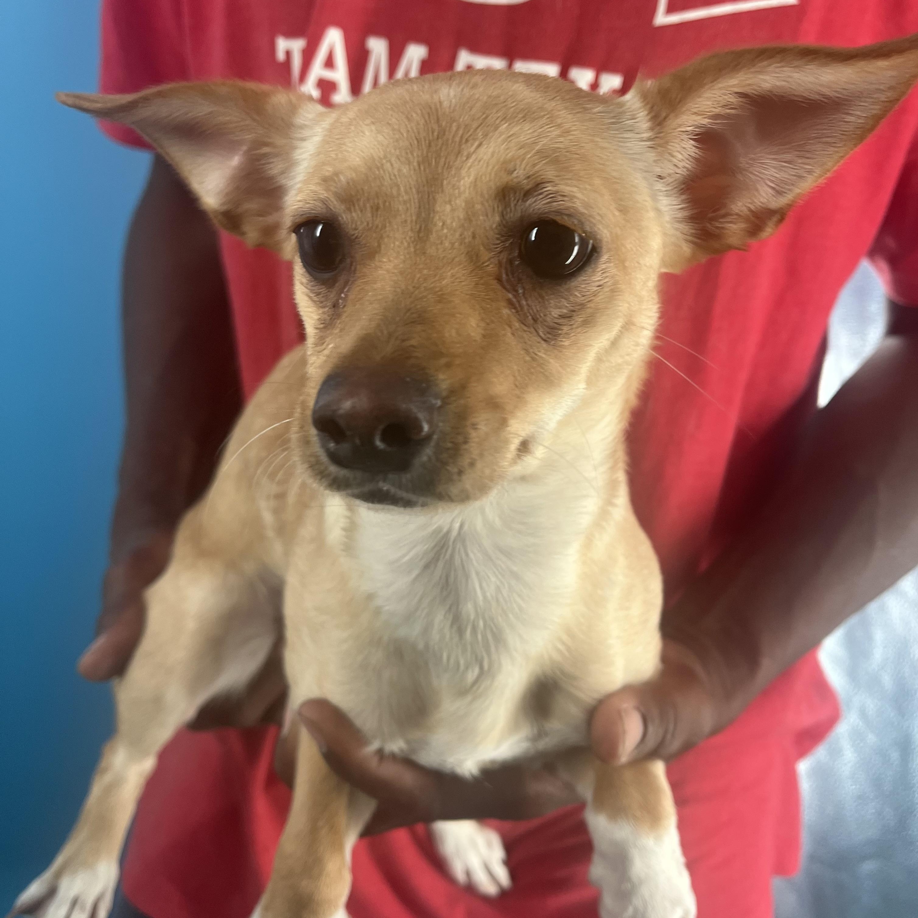 Louise Local Oct photo 1