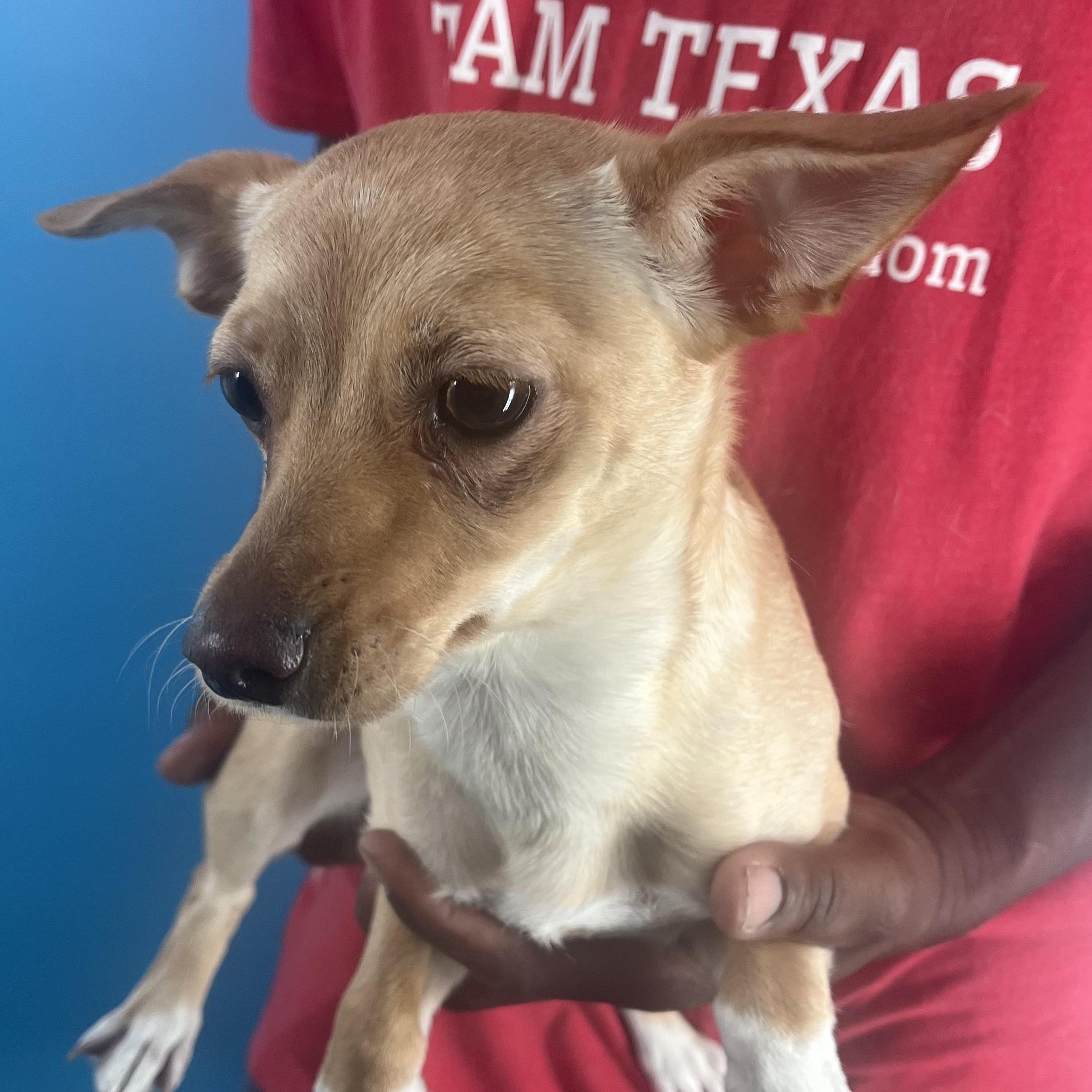 Louise  Local Oct thumbnail 4