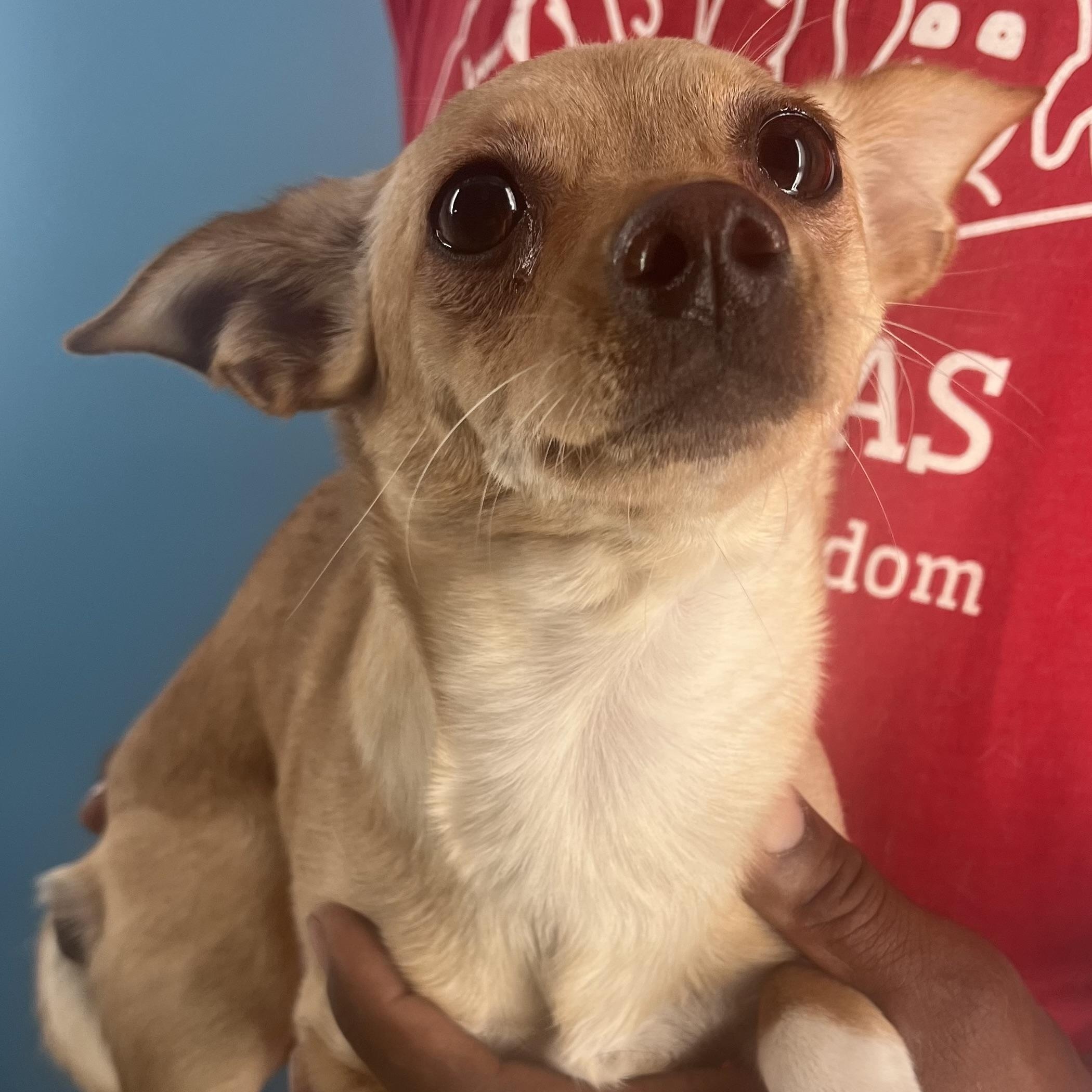 Louise  Local Oct thumbnail 5