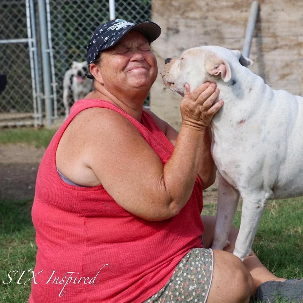 Bam Bam, a Adoptable Mixed Breed in Frederiksted, VI image 3/4