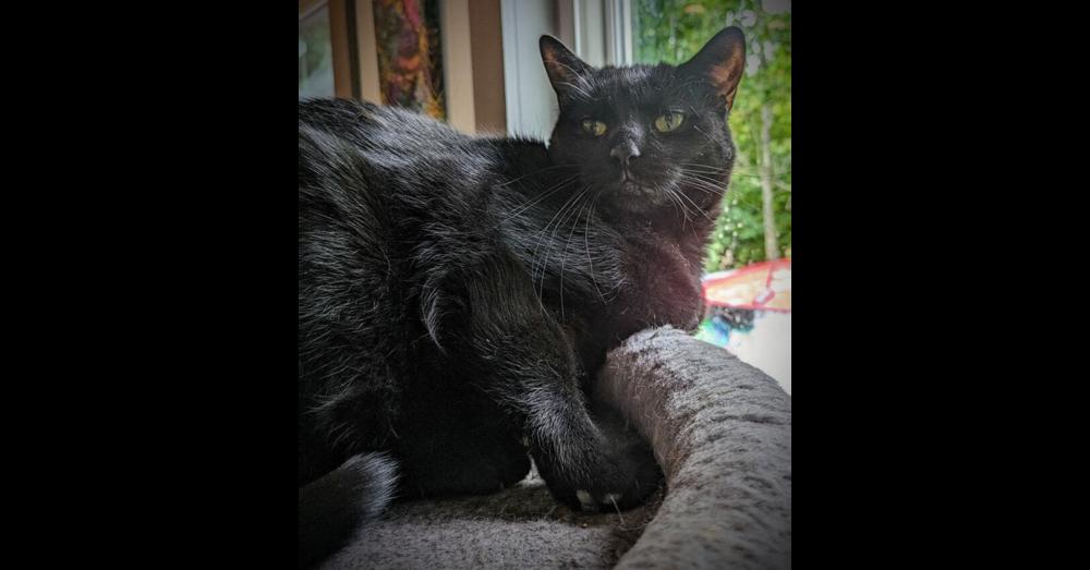 Spicy — thumbnail 3