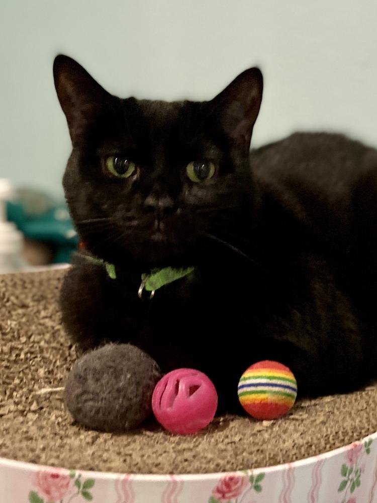 Spicy — thumbnail 4