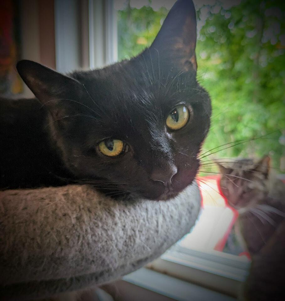 Spicy — thumbnail 6