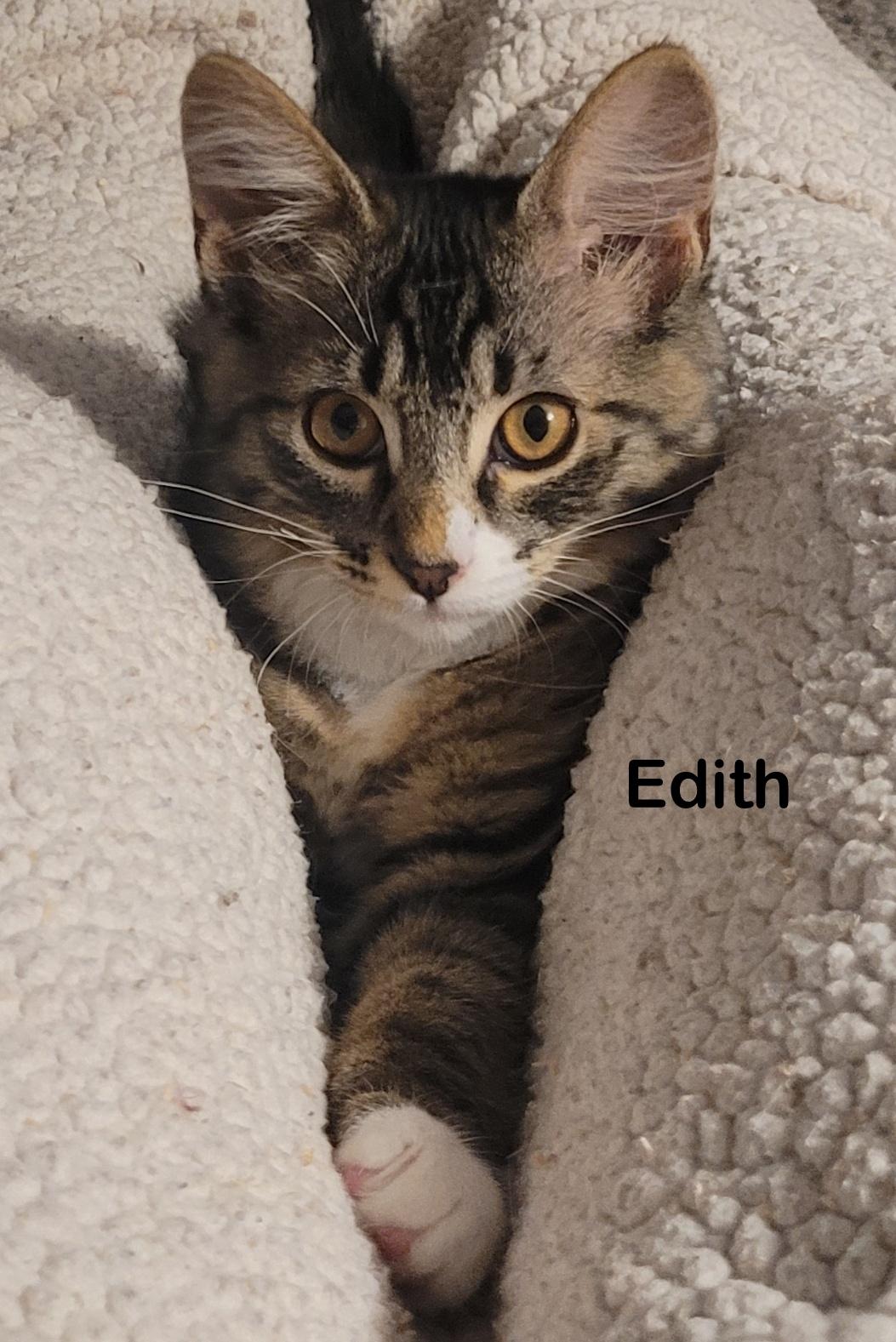 Edith, Young Female unknown