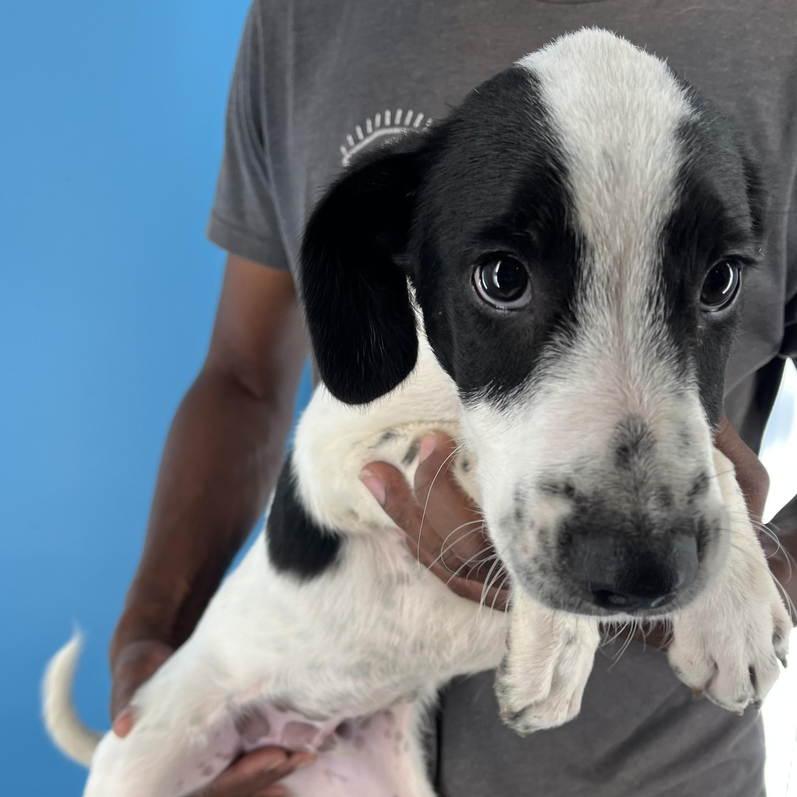 Yates - Local Sept 26-28