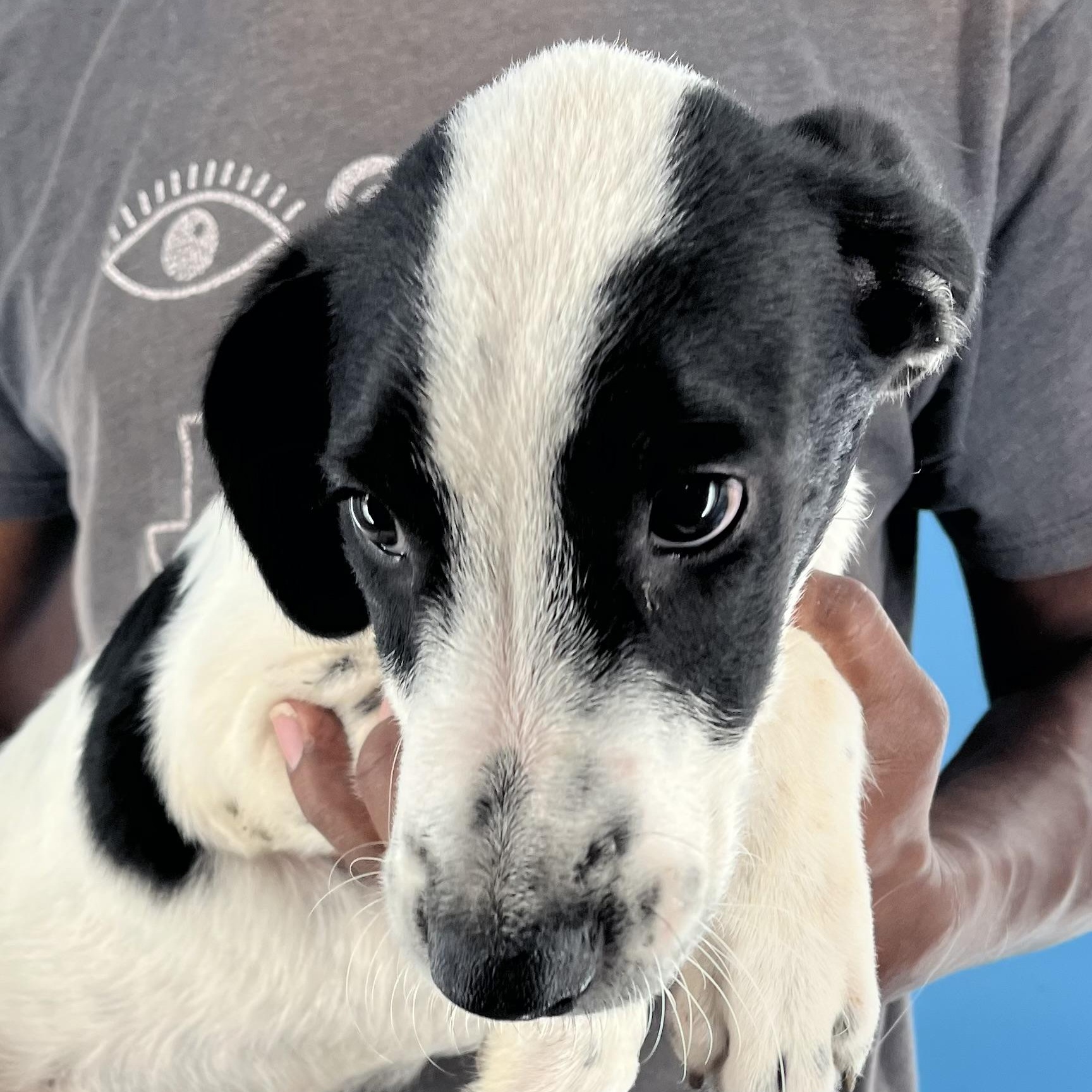 Yates - Local Sept 26-28