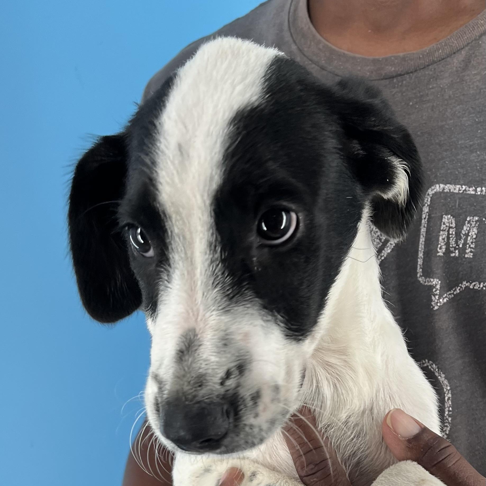 Yates - Local Sept 26-28