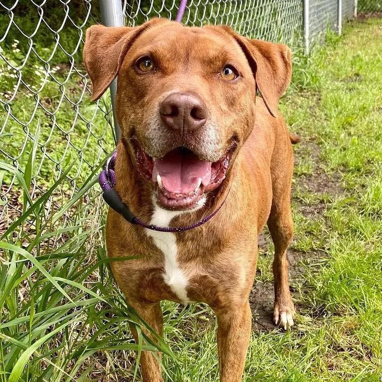 Heath — thumbnail 4