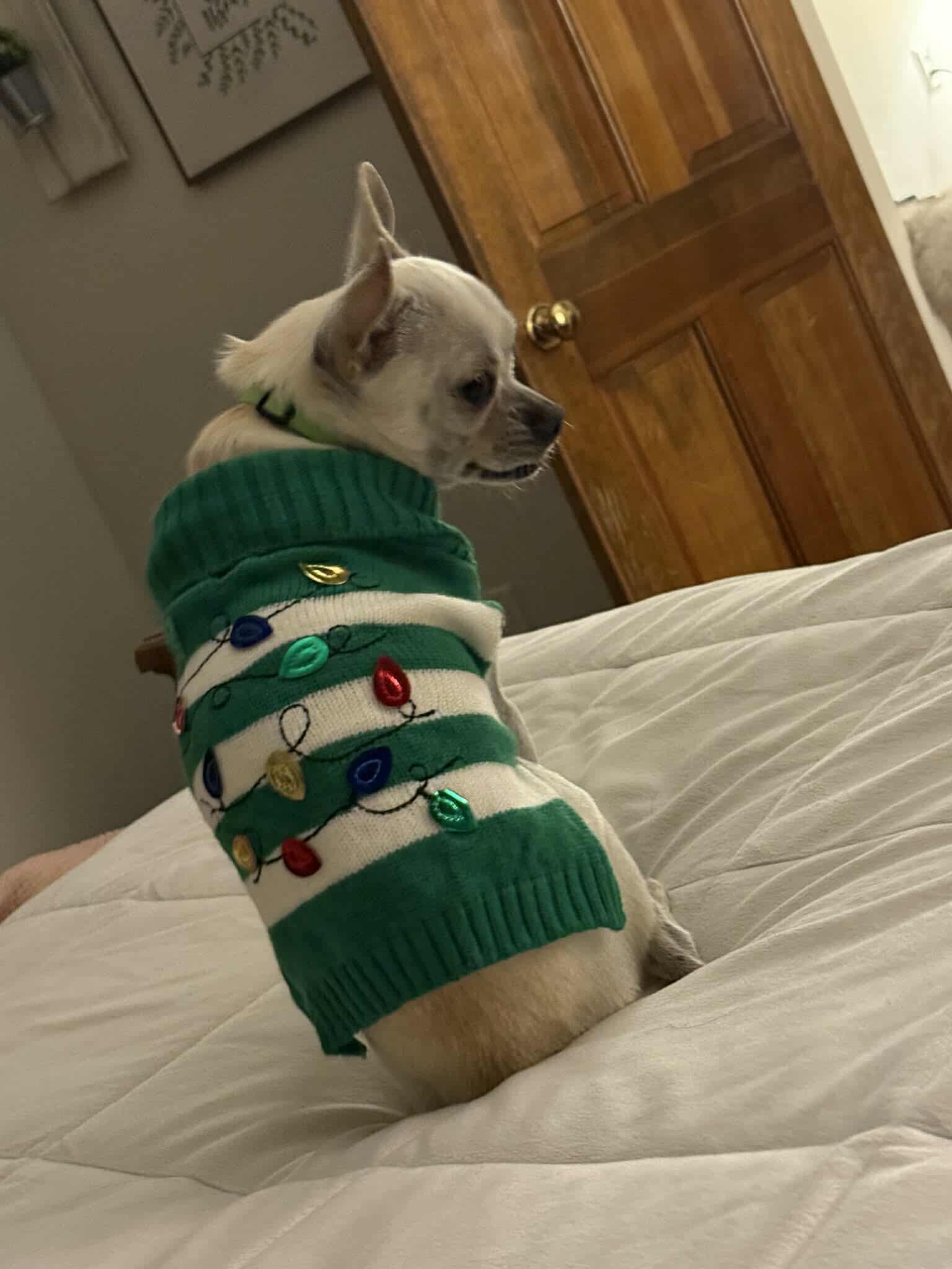 Dominic Arriving thumbnail 4