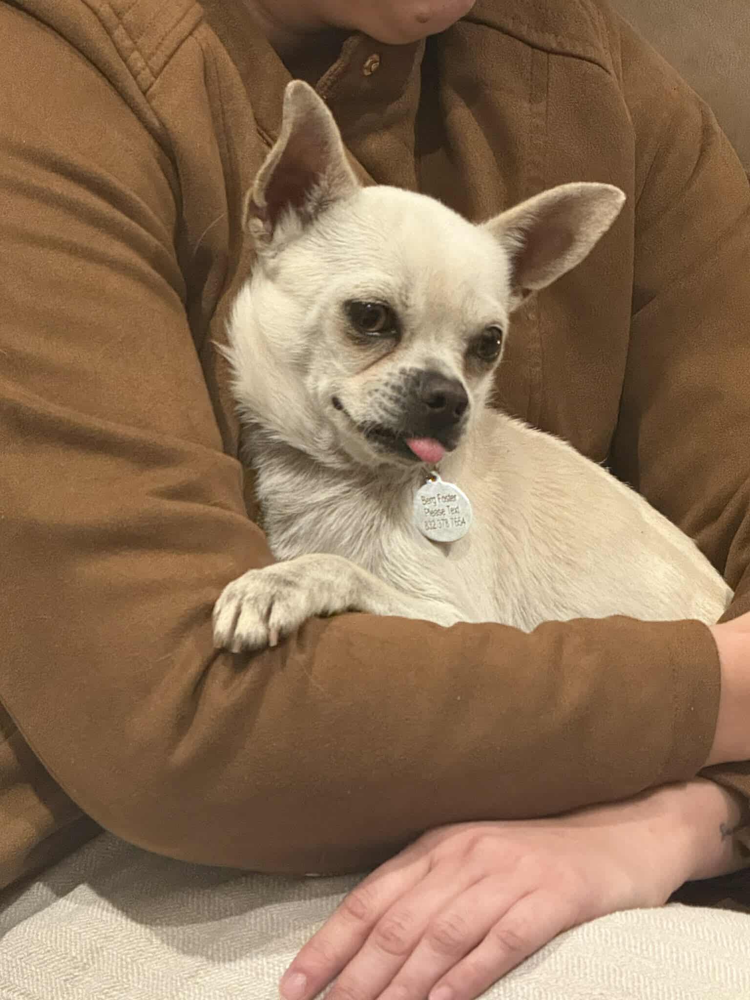 Dominic Arriving thumbnail 5