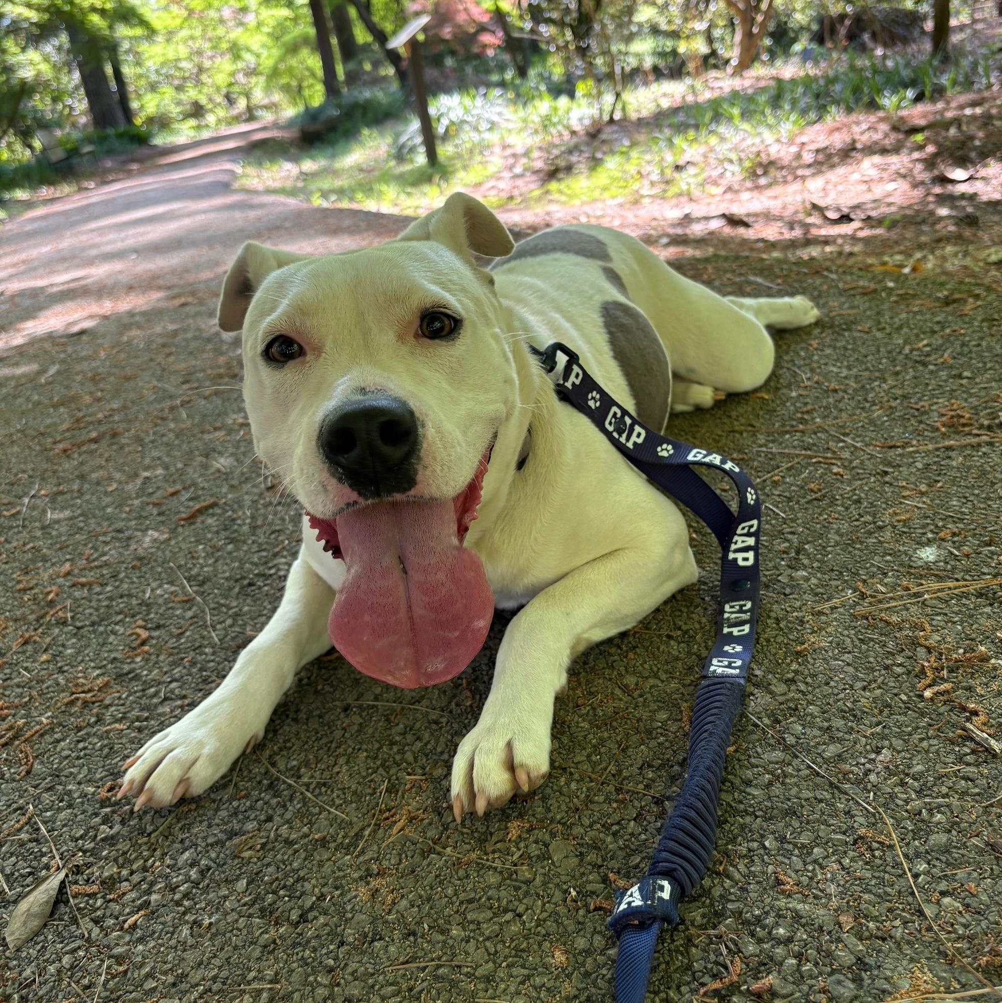 River 1 — thumbnail 3