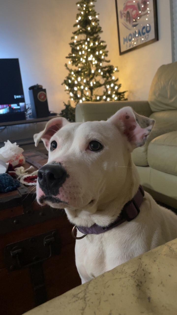 River 1 — thumbnail 4