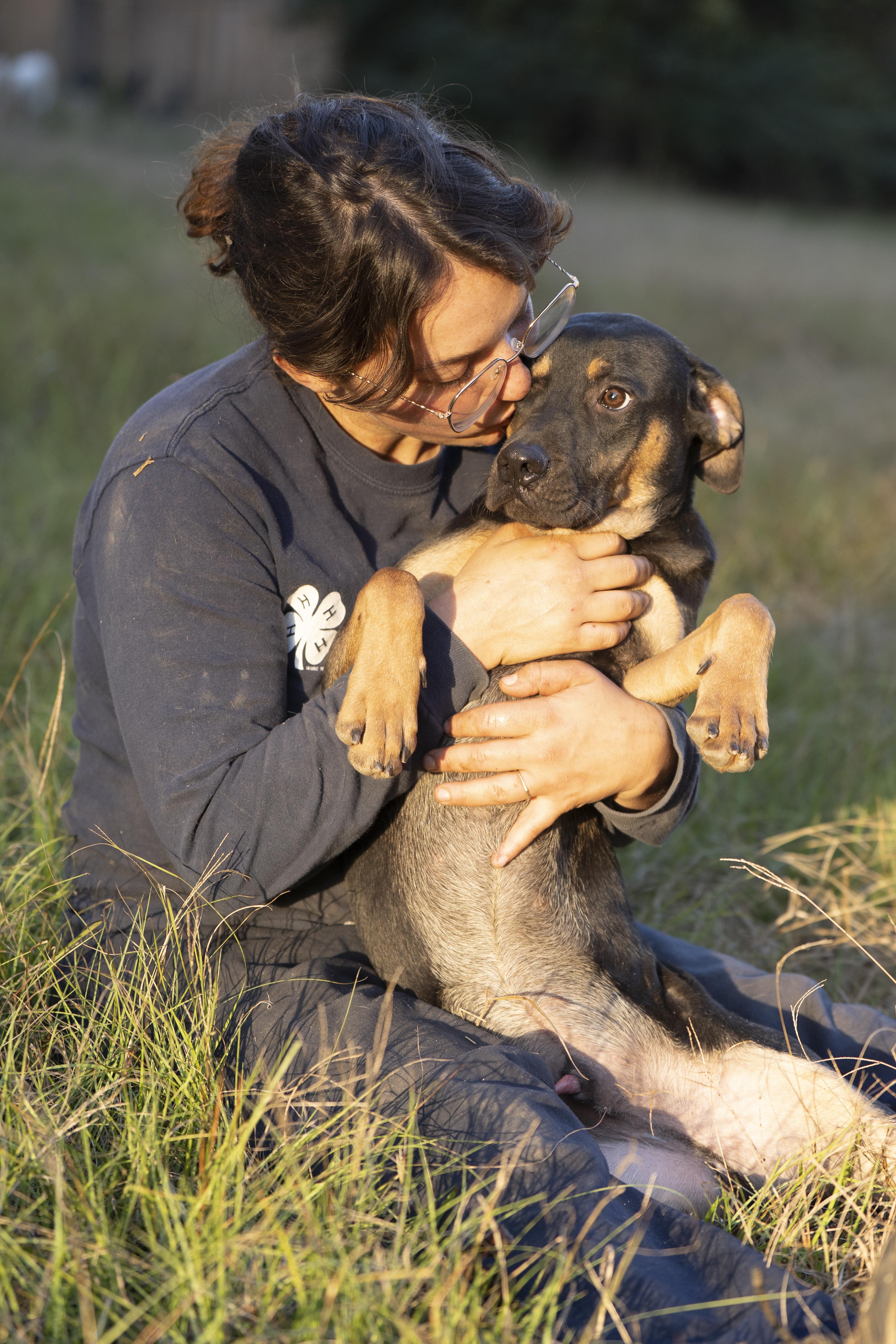Bones, a Adoptable mixed breed in Calera, AL image 1/6