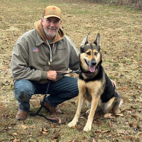 Enlarge Luna, a Adopted German Shepherd Dog in Palm Harbor, FL image 1/3