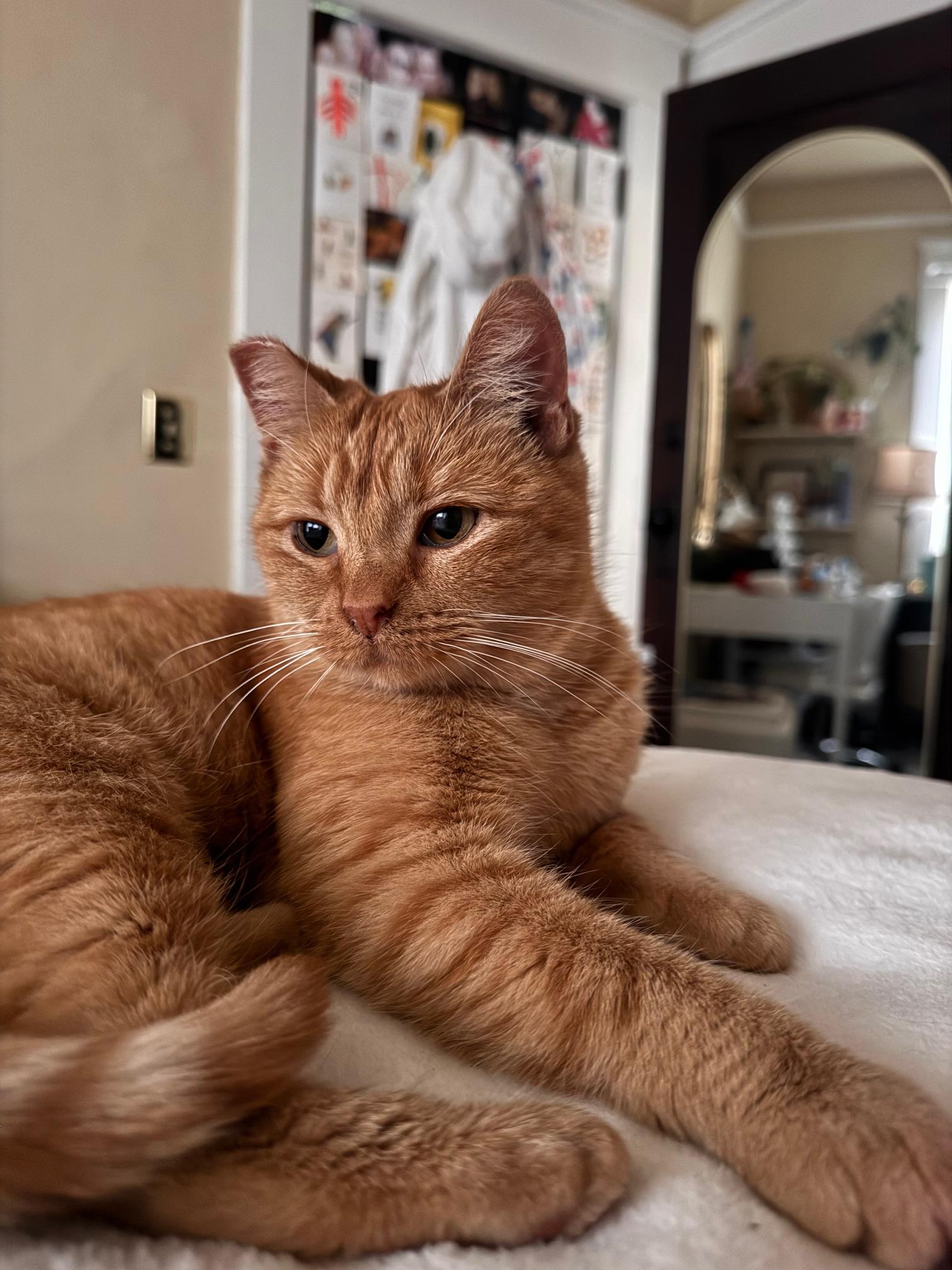 Penelope Aka Penny thumbnail 2