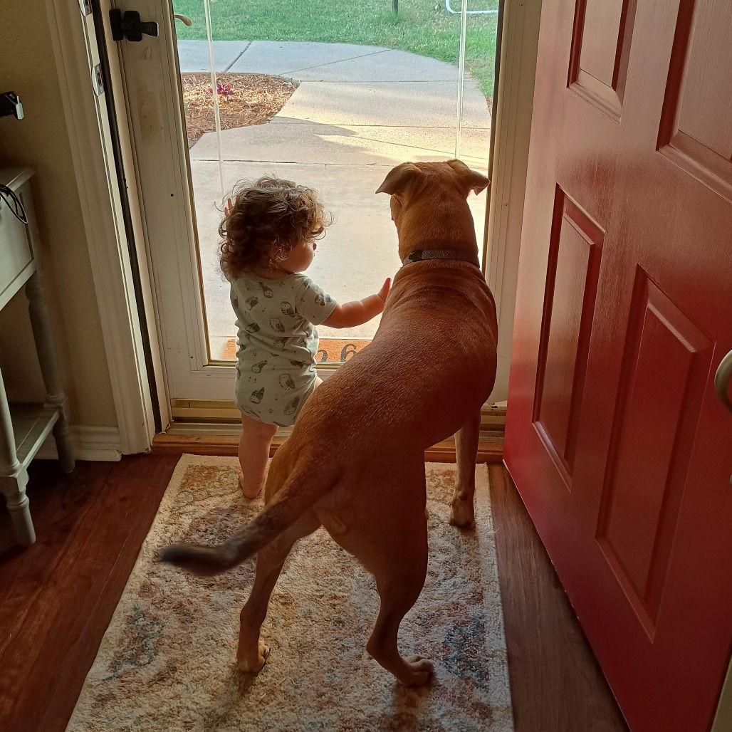 Markus Aurelius (New Digs)